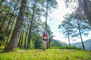 BIB: 
                            <button type="button" onclick="openModal(19285006)" class="btn btn-primary btn-sm float-right btn-popup" data-toggle="modal" data-target=".modal-high-quality">
                        <i class="fas fa-shopping-cart"></i> Add to Cart
                    </button>
                                            <button type="button" onclick="isThisMe(19285006, true)" class="btn btn-success btn-sm float-right btn-popup btn-isme hidden" data-toggle="tooltip" data-placement="bottom" title="นี่คือรูปของคุณใช่ไหม คลิกที่นี่เพื่อเอาเข้าอัลบั้ม">
                        <i class="fas fa-plus"></i> Add to album
                    </button>
                    <button type="button" onclick="isThisMe(19285006, false)" class="btn btn-warning btn-sm float-right btn-popup btn-isnotme hidden">
                        <i class="fas fa-ban"></i> Remove from album
                    </button>