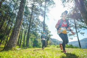 BIB: 5284
                            <button type="button" onclick="openModal(19282699)" class="btn btn-primary btn-sm float-right btn-popup" data-toggle="modal" data-target=".modal-high-quality">
                        <i class="fas fa-shopping-cart"></i> Add to Cart
                    </button>
                                            <button type="button" onclick="isThisMe(19282699, true)" class="btn btn-success btn-sm float-right btn-popup btn-isme hidden" data-toggle="tooltip" data-placement="bottom" title="นี่คือรูปของคุณใช่ไหม คลิกที่นี่เพื่อเอาเข้าอัลบั้ม">
                        <i class="fas fa-plus"></i> Add to album
                    </button>
                    <button type="button" onclick="isThisMe(19282699, false)" class="btn btn-warning btn-sm float-right btn-popup btn-isnotme hidden">
                        <i class="fas fa-ban"></i> Remove from album
                    </button>