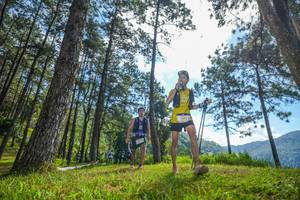 BIB: 3343
                            <button type="button" onclick="openModal(19282077)" class="btn btn-primary btn-sm float-right btn-popup" data-toggle="modal" data-target=".modal-high-quality">
                        <i class="fas fa-shopping-cart"></i> Add to Cart
                    </button>
                                            <button type="button" onclick="isThisMe(19282077, true)" class="btn btn-success btn-sm float-right btn-popup btn-isme hidden" data-toggle="tooltip" data-placement="bottom" title="นี่คือรูปของคุณใช่ไหม คลิกที่นี่เพื่อเอาเข้าอัลบั้ม">
                        <i class="fas fa-plus"></i> Add to album
                    </button>
                    <button type="button" onclick="isThisMe(19282077, false)" class="btn btn-warning btn-sm float-right btn-popup btn-isnotme hidden">
                        <i class="fas fa-ban"></i> Remove from album
                    </button>