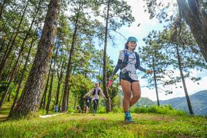 BIB: 
                            <button type="button" onclick="openModal(19290801)" class="btn btn-primary btn-sm float-right btn-popup" data-toggle="modal" data-target=".modal-high-quality">
                        <i class="fas fa-shopping-cart"></i> Add to Cart
                    </button>
                                            <button type="button" onclick="isThisMe(19290801, true)" class="btn btn-success btn-sm float-right btn-popup btn-isme hidden" data-toggle="tooltip" data-placement="bottom" title="นี่คือรูปของคุณใช่ไหม คลิกที่นี่เพื่อเอาเข้าอัลบั้ม">
                        <i class="fas fa-plus"></i> Add to album
                    </button>
                    <button type="button" onclick="isThisMe(19290801, false)" class="btn btn-warning btn-sm float-right btn-popup btn-isnotme hidden">
                        <i class="fas fa-ban"></i> Remove from album
                    </button>