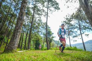 BIB: 
                            <button type="button" onclick="openModal(19287527)" class="btn btn-primary btn-sm float-right btn-popup" data-toggle="modal" data-target=".modal-high-quality">
                        <i class="fas fa-shopping-cart"></i> Add to Cart
                    </button>
                                            <button type="button" onclick="isThisMe(19287527, true)" class="btn btn-success btn-sm float-right btn-popup btn-isme hidden" data-toggle="tooltip" data-placement="bottom" title="นี่คือรูปของคุณใช่ไหม คลิกที่นี่เพื่อเอาเข้าอัลบั้ม">
                        <i class="fas fa-plus"></i> Add to album
                    </button>
                    <button type="button" onclick="isThisMe(19287527, false)" class="btn btn-warning btn-sm float-right btn-popup btn-isnotme hidden">
                        <i class="fas fa-ban"></i> Remove from album
                    </button>