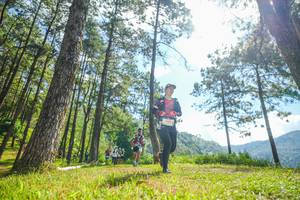 BIB: 
                            <button type="button" onclick="openModal(19286750)" class="btn btn-primary btn-sm float-right btn-popup" data-toggle="modal" data-target=".modal-high-quality">
                        <i class="fas fa-shopping-cart"></i> Add to Cart
                    </button>
                                            <button type="button" onclick="isThisMe(19286750, true)" class="btn btn-success btn-sm float-right btn-popup btn-isme hidden" data-toggle="tooltip" data-placement="bottom" title="นี่คือรูปของคุณใช่ไหม คลิกที่นี่เพื่อเอาเข้าอัลบั้ม">
                        <i class="fas fa-plus"></i> Add to album
                    </button>
                    <button type="button" onclick="isThisMe(19286750, false)" class="btn btn-warning btn-sm float-right btn-popup btn-isnotme hidden">
                        <i class="fas fa-ban"></i> Remove from album
                    </button>