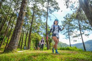 BIB: 
                            <button type="button" onclick="openModal(19290800)" class="btn btn-primary btn-sm float-right btn-popup" data-toggle="modal" data-target=".modal-high-quality">
                        <i class="fas fa-shopping-cart"></i> Add to Cart
                    </button>
                                            <button type="button" onclick="isThisMe(19290800, true)" class="btn btn-success btn-sm float-right btn-popup btn-isme hidden" data-toggle="tooltip" data-placement="bottom" title="นี่คือรูปของคุณใช่ไหม คลิกที่นี่เพื่อเอาเข้าอัลบั้ม">
                        <i class="fas fa-plus"></i> Add to album
                    </button>
                    <button type="button" onclick="isThisMe(19290800, false)" class="btn btn-warning btn-sm float-right btn-popup btn-isnotme hidden">
                        <i class="fas fa-ban"></i> Remove from album
                    </button>