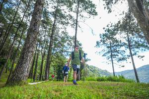 BIB: 
                            <button type="button" onclick="openModal(19288625)" class="btn btn-primary btn-sm float-right btn-popup" data-toggle="modal" data-target=".modal-high-quality">
                        <i class="fas fa-shopping-cart"></i> Add to Cart
                    </button>
                                            <button type="button" onclick="isThisMe(19288625, true)" class="btn btn-success btn-sm float-right btn-popup btn-isme hidden" data-toggle="tooltip" data-placement="bottom" title="นี่คือรูปของคุณใช่ไหม คลิกที่นี่เพื่อเอาเข้าอัลบั้ม">
                        <i class="fas fa-plus"></i> Add to album
                    </button>
                    <button type="button" onclick="isThisMe(19288625, false)" class="btn btn-warning btn-sm float-right btn-popup btn-isnotme hidden">
                        <i class="fas fa-ban"></i> Remove from album
                    </button>