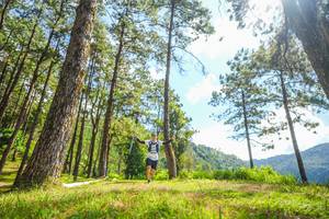 BIB: 
                            <button type="button" onclick="openModal(19290704)" class="btn btn-primary btn-sm float-right btn-popup" data-toggle="modal" data-target=".modal-high-quality">
                        <i class="fas fa-shopping-cart"></i> Add to Cart
                    </button>
                                            <button type="button" onclick="isThisMe(19290704, true)" class="btn btn-success btn-sm float-right btn-popup btn-isme hidden" data-toggle="tooltip" data-placement="bottom" title="นี่คือรูปของคุณใช่ไหม คลิกที่นี่เพื่อเอาเข้าอัลบั้ม">
                        <i class="fas fa-plus"></i> Add to album
                    </button>
                    <button type="button" onclick="isThisMe(19290704, false)" class="btn btn-warning btn-sm float-right btn-popup btn-isnotme hidden">
                        <i class="fas fa-ban"></i> Remove from album
                    </button>