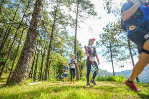 BIB: 
                            <button type="button" onclick="openModal(19289760)" class="btn btn-primary btn-sm float-right btn-popup" data-toggle="modal" data-target=".modal-high-quality">
                        <i class="fas fa-shopping-cart"></i> Add to Cart
                    </button>
                                            <button type="button" onclick="isThisMe(19289760, true)" class="btn btn-success btn-sm float-right btn-popup btn-isme hidden" data-toggle="tooltip" data-placement="bottom" title="นี่คือรูปของคุณใช่ไหม คลิกที่นี่เพื่อเอาเข้าอัลบั้ม">
                        <i class="fas fa-plus"></i> Add to album
                    </button>
                    <button type="button" onclick="isThisMe(19289760, false)" class="btn btn-warning btn-sm float-right btn-popup btn-isnotme hidden">
                        <i class="fas fa-ban"></i> Remove from album
                    </button>