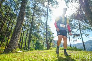 BIB: 6196
                            <button type="button" onclick="openModal(19283002)" class="btn btn-primary btn-sm float-right btn-popup" data-toggle="modal" data-target=".modal-high-quality">
                        <i class="fas fa-shopping-cart"></i> Add to Cart
                    </button>
                                            <button type="button" onclick="isThisMe(19283002, true)" class="btn btn-success btn-sm float-right btn-popup btn-isme hidden" data-toggle="tooltip" data-placement="bottom" title="นี่คือรูปของคุณใช่ไหม คลิกที่นี่เพื่อเอาเข้าอัลบั้ม">
                        <i class="fas fa-plus"></i> Add to album
                    </button>
                    <button type="button" onclick="isThisMe(19283002, false)" class="btn btn-warning btn-sm float-right btn-popup btn-isnotme hidden">
                        <i class="fas fa-ban"></i> Remove from album
                    </button>