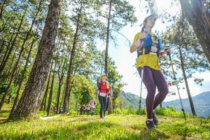 BIB: 
                            <button type="button" onclick="openModal(19289145)" class="btn btn-primary btn-sm float-right btn-popup" data-toggle="modal" data-target=".modal-high-quality">
                        <i class="fas fa-shopping-cart"></i> Add to Cart
                    </button>
                                            <button type="button" onclick="isThisMe(19289145, true)" class="btn btn-success btn-sm float-right btn-popup btn-isme hidden" data-toggle="tooltip" data-placement="bottom" title="นี่คือรูปของคุณใช่ไหม คลิกที่นี่เพื่อเอาเข้าอัลบั้ม">
                        <i class="fas fa-plus"></i> Add to album
                    </button>
                    <button type="button" onclick="isThisMe(19289145, false)" class="btn btn-warning btn-sm float-right btn-popup btn-isnotme hidden">
                        <i class="fas fa-ban"></i> Remove from album
                    </button>