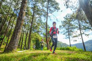 BIB: 
                            <button type="button" onclick="openModal(19290726)" class="btn btn-primary btn-sm float-right btn-popup" data-toggle="modal" data-target=".modal-high-quality">
                        <i class="fas fa-shopping-cart"></i> Add to Cart
                    </button>
                                            <button type="button" onclick="isThisMe(19290726, true)" class="btn btn-success btn-sm float-right btn-popup btn-isme hidden" data-toggle="tooltip" data-placement="bottom" title="นี่คือรูปของคุณใช่ไหม คลิกที่นี่เพื่อเอาเข้าอัลบั้ม">
                        <i class="fas fa-plus"></i> Add to album
                    </button>
                    <button type="button" onclick="isThisMe(19290726, false)" class="btn btn-warning btn-sm float-right btn-popup btn-isnotme hidden">
                        <i class="fas fa-ban"></i> Remove from album
                    </button>