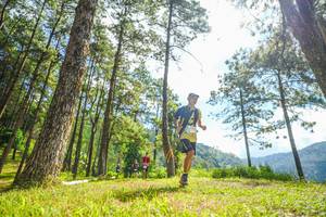 BIB: 
                            <button type="button" onclick="openModal(19287050)" class="btn btn-primary btn-sm float-right btn-popup" data-toggle="modal" data-target=".modal-high-quality">
                        <i class="fas fa-shopping-cart"></i> Add to Cart
                    </button>
                                            <button type="button" onclick="isThisMe(19287050, true)" class="btn btn-success btn-sm float-right btn-popup btn-isme hidden" data-toggle="tooltip" data-placement="bottom" title="นี่คือรูปของคุณใช่ไหม คลิกที่นี่เพื่อเอาเข้าอัลบั้ม">
                        <i class="fas fa-plus"></i> Add to album
                    </button>
                    <button type="button" onclick="isThisMe(19287050, false)" class="btn btn-warning btn-sm float-right btn-popup btn-isnotme hidden">
                        <i class="fas fa-ban"></i> Remove from album
                    </button>