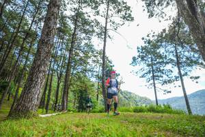 BIB: 
                            <button type="button" onclick="openModal(19287655)" class="btn btn-primary btn-sm float-right btn-popup" data-toggle="modal" data-target=".modal-high-quality">
                        <i class="fas fa-shopping-cart"></i> Add to Cart
                    </button>
                                            <button type="button" onclick="isThisMe(19287655, true)" class="btn btn-success btn-sm float-right btn-popup btn-isme hidden" data-toggle="tooltip" data-placement="bottom" title="นี่คือรูปของคุณใช่ไหม คลิกที่นี่เพื่อเอาเข้าอัลบั้ม">
                        <i class="fas fa-plus"></i> Add to album
                    </button>
                    <button type="button" onclick="isThisMe(19287655, false)" class="btn btn-warning btn-sm float-right btn-popup btn-isnotme hidden">
                        <i class="fas fa-ban"></i> Remove from album
                    </button>