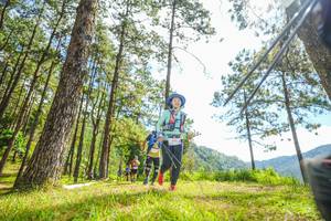 BIB: 
                            <button type="button" onclick="openModal(19289720)" class="btn btn-primary btn-sm float-right btn-popup" data-toggle="modal" data-target=".modal-high-quality">
                        <i class="fas fa-shopping-cart"></i> Add to Cart
                    </button>
                                            <button type="button" onclick="isThisMe(19289720, true)" class="btn btn-success btn-sm float-right btn-popup btn-isme hidden" data-toggle="tooltip" data-placement="bottom" title="นี่คือรูปของคุณใช่ไหม คลิกที่นี่เพื่อเอาเข้าอัลบั้ม">
                        <i class="fas fa-plus"></i> Add to album
                    </button>
                    <button type="button" onclick="isThisMe(19289720, false)" class="btn btn-warning btn-sm float-right btn-popup btn-isnotme hidden">
                        <i class="fas fa-ban"></i> Remove from album
                    </button>