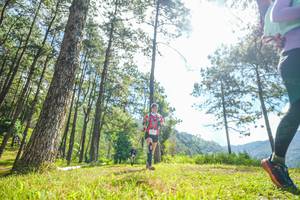 BIB: 
                            <button type="button" onclick="openModal(19286597)" class="btn btn-primary btn-sm float-right btn-popup" data-toggle="modal" data-target=".modal-high-quality">
                        <i class="fas fa-shopping-cart"></i> Add to Cart
                    </button>
                                            <button type="button" onclick="isThisMe(19286597, true)" class="btn btn-success btn-sm float-right btn-popup btn-isme hidden" data-toggle="tooltip" data-placement="bottom" title="นี่คือรูปของคุณใช่ไหม คลิกที่นี่เพื่อเอาเข้าอัลบั้ม">
                        <i class="fas fa-plus"></i> Add to album
                    </button>
                    <button type="button" onclick="isThisMe(19286597, false)" class="btn btn-warning btn-sm float-right btn-popup btn-isnotme hidden">
                        <i class="fas fa-ban"></i> Remove from album
                    </button>