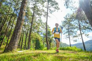 BIB: 
                            <button type="button" onclick="openModal(19291246)" class="btn btn-primary btn-sm float-right btn-popup" data-toggle="modal" data-target=".modal-high-quality">
                        <i class="fas fa-shopping-cart"></i> Add to Cart
                    </button>
                                            <button type="button" onclick="isThisMe(19291246, true)" class="btn btn-success btn-sm float-right btn-popup btn-isme hidden" data-toggle="tooltip" data-placement="bottom" title="นี่คือรูปของคุณใช่ไหม คลิกที่นี่เพื่อเอาเข้าอัลบั้ม">
                        <i class="fas fa-plus"></i> Add to album
                    </button>
                    <button type="button" onclick="isThisMe(19291246, false)" class="btn btn-warning btn-sm float-right btn-popup btn-isnotme hidden">
                        <i class="fas fa-ban"></i> Remove from album
                    </button>