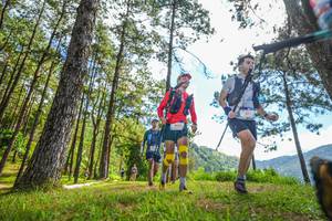 BIB: 9999
                            <button type="button" onclick="openModal(19290060)" class="btn btn-primary btn-sm float-right btn-popup" data-toggle="modal" data-target=".modal-high-quality">
                        <i class="fas fa-shopping-cart"></i> Add to Cart
                    </button>
                                            <button type="button" onclick="isThisMe(19290060, true)" class="btn btn-success btn-sm float-right btn-popup btn-isme hidden" data-toggle="tooltip" data-placement="bottom" title="นี่คือรูปของคุณใช่ไหม คลิกที่นี่เพื่อเอาเข้าอัลบั้ม">
                        <i class="fas fa-plus"></i> Add to album
                    </button>
                    <button type="button" onclick="isThisMe(19290060, false)" class="btn btn-warning btn-sm float-right btn-popup btn-isnotme hidden">
                        <i class="fas fa-ban"></i> Remove from album
                    </button>