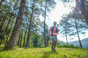 BIB: 
                            <button type="button" onclick="openModal(19285048)" class="btn btn-primary btn-sm float-right btn-popup" data-toggle="modal" data-target=".modal-high-quality">
                        <i class="fas fa-shopping-cart"></i> Add to Cart
                    </button>
                                            <button type="button" onclick="isThisMe(19285048, true)" class="btn btn-success btn-sm float-right btn-popup btn-isme hidden" data-toggle="tooltip" data-placement="bottom" title="นี่คือรูปของคุณใช่ไหม คลิกที่นี่เพื่อเอาเข้าอัลบั้ม">
                        <i class="fas fa-plus"></i> Add to album
                    </button>
                    <button type="button" onclick="isThisMe(19285048, false)" class="btn btn-warning btn-sm float-right btn-popup btn-isnotme hidden">
                        <i class="fas fa-ban"></i> Remove from album
                    </button>