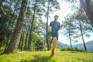 BIB: 
                            <button type="button" onclick="openModal(19287130)" class="btn btn-primary btn-sm float-right btn-popup" data-toggle="modal" data-target=".modal-high-quality">
                        <i class="fas fa-shopping-cart"></i> Add to Cart
                    </button>
                                            <button type="button" onclick="isThisMe(19287130, true)" class="btn btn-success btn-sm float-right btn-popup btn-isme hidden" data-toggle="tooltip" data-placement="bottom" title="นี่คือรูปของคุณใช่ไหม คลิกที่นี่เพื่อเอาเข้าอัลบั้ม">
                        <i class="fas fa-plus"></i> Add to album
                    </button>
                    <button type="button" onclick="isThisMe(19287130, false)" class="btn btn-warning btn-sm float-right btn-popup btn-isnotme hidden">
                        <i class="fas fa-ban"></i> Remove from album
                    </button>