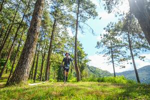 BIB: 
                            <button type="button" onclick="openModal(19291557)" class="btn btn-primary btn-sm float-right btn-popup" data-toggle="modal" data-target=".modal-high-quality">
                        <i class="fas fa-shopping-cart"></i> Add to Cart
                    </button>
                                            <button type="button" onclick="isThisMe(19291557, true)" class="btn btn-success btn-sm float-right btn-popup btn-isme hidden" data-toggle="tooltip" data-placement="bottom" title="นี่คือรูปของคุณใช่ไหม คลิกที่นี่เพื่อเอาเข้าอัลบั้ม">
                        <i class="fas fa-plus"></i> Add to album
                    </button>
                    <button type="button" onclick="isThisMe(19291557, false)" class="btn btn-warning btn-sm float-right btn-popup btn-isnotme hidden">
                        <i class="fas fa-ban"></i> Remove from album
                    </button>