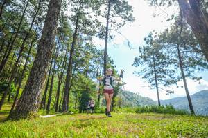 BIB: 
                            <button type="button" onclick="openModal(19286849)" class="btn btn-primary btn-sm float-right btn-popup" data-toggle="modal" data-target=".modal-high-quality">
                        <i class="fas fa-shopping-cart"></i> Add to Cart
                    </button>
                                            <button type="button" onclick="isThisMe(19286849, true)" class="btn btn-success btn-sm float-right btn-popup btn-isme hidden" data-toggle="tooltip" data-placement="bottom" title="นี่คือรูปของคุณใช่ไหม คลิกที่นี่เพื่อเอาเข้าอัลบั้ม">
                        <i class="fas fa-plus"></i> Add to album
                    </button>
                    <button type="button" onclick="isThisMe(19286849, false)" class="btn btn-warning btn-sm float-right btn-popup btn-isnotme hidden">
                        <i class="fas fa-ban"></i> Remove from album
                    </button>