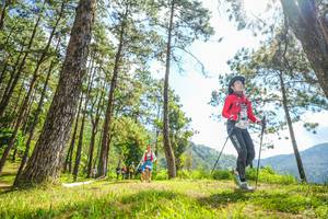 BIB: 
                            <button type="button" onclick="openModal(19289114)" class="btn btn-primary btn-sm float-right btn-popup" data-toggle="modal" data-target=".modal-high-quality">
                        <i class="fas fa-shopping-cart"></i> Add to Cart
                    </button>
                                            <button type="button" onclick="isThisMe(19289114, true)" class="btn btn-success btn-sm float-right btn-popup btn-isme hidden" data-toggle="tooltip" data-placement="bottom" title="นี่คือรูปของคุณใช่ไหม คลิกที่นี่เพื่อเอาเข้าอัลบั้ม">
                        <i class="fas fa-plus"></i> Add to album
                    </button>
                    <button type="button" onclick="isThisMe(19289114, false)" class="btn btn-warning btn-sm float-right btn-popup btn-isnotme hidden">
                        <i class="fas fa-ban"></i> Remove from album
                    </button>