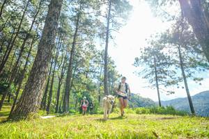 BIB: 
                            <button type="button" onclick="openModal(19285123)" class="btn btn-primary btn-sm float-right btn-popup" data-toggle="modal" data-target=".modal-high-quality">
                        <i class="fas fa-shopping-cart"></i> Add to Cart
                    </button>
                                            <button type="button" onclick="isThisMe(19285123, true)" class="btn btn-success btn-sm float-right btn-popup btn-isme hidden" data-toggle="tooltip" data-placement="bottom" title="นี่คือรูปของคุณใช่ไหม คลิกที่นี่เพื่อเอาเข้าอัลบั้ม">
                        <i class="fas fa-plus"></i> Add to album
                    </button>
                    <button type="button" onclick="isThisMe(19285123, false)" class="btn btn-warning btn-sm float-right btn-popup btn-isnotme hidden">
                        <i class="fas fa-ban"></i> Remove from album
                    </button>