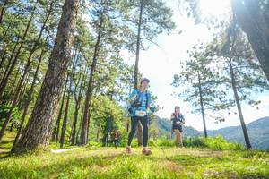 BIB: 
                            <button type="button" onclick="openModal(19290235)" class="btn btn-primary btn-sm float-right btn-popup" data-toggle="modal" data-target=".modal-high-quality">
                        <i class="fas fa-shopping-cart"></i> Add to Cart
                    </button>
                                            <button type="button" onclick="isThisMe(19290235, true)" class="btn btn-success btn-sm float-right btn-popup btn-isme hidden" data-toggle="tooltip" data-placement="bottom" title="นี่คือรูปของคุณใช่ไหม คลิกที่นี่เพื่อเอาเข้าอัลบั้ม">
                        <i class="fas fa-plus"></i> Add to album
                    </button>
                    <button type="button" onclick="isThisMe(19290235, false)" class="btn btn-warning btn-sm float-right btn-popup btn-isnotme hidden">
                        <i class="fas fa-ban"></i> Remove from album
                    </button>