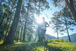 BIB: 
                            <button type="button" onclick="openModal(19279482)" class="btn btn-primary btn-sm float-right btn-popup" data-toggle="modal" data-target=".modal-high-quality">
                        <i class="fas fa-shopping-cart"></i> Add to Cart
                    </button>
                                            <button type="button" onclick="isThisMe(19279482, true)" class="btn btn-success btn-sm float-right btn-popup btn-isme hidden" data-toggle="tooltip" data-placement="bottom" title="นี่คือรูปของคุณใช่ไหม คลิกที่นี่เพื่อเอาเข้าอัลบั้ม">
                        <i class="fas fa-plus"></i> Add to album
                    </button>
                    <button type="button" onclick="isThisMe(19279482, false)" class="btn btn-warning btn-sm float-right btn-popup btn-isnotme hidden">
                        <i class="fas fa-ban"></i> Remove from album
                    </button>