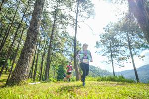 BIB: 
                            <button type="button" onclick="openModal(19286581)" class="btn btn-primary btn-sm float-right btn-popup" data-toggle="modal" data-target=".modal-high-quality">
                        <i class="fas fa-shopping-cart"></i> Add to Cart
                    </button>
                                            <button type="button" onclick="isThisMe(19286581, true)" class="btn btn-success btn-sm float-right btn-popup btn-isme hidden" data-toggle="tooltip" data-placement="bottom" title="นี่คือรูปของคุณใช่ไหม คลิกที่นี่เพื่อเอาเข้าอัลบั้ม">
                        <i class="fas fa-plus"></i> Add to album
                    </button>
                    <button type="button" onclick="isThisMe(19286581, false)" class="btn btn-warning btn-sm float-right btn-popup btn-isnotme hidden">
                        <i class="fas fa-ban"></i> Remove from album
                    </button>