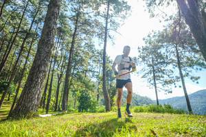 BIB: 
                            <button type="button" onclick="openModal(19283900)" class="btn btn-primary btn-sm float-right btn-popup" data-toggle="modal" data-target=".modal-high-quality">
                        <i class="fas fa-shopping-cart"></i> Add to Cart
                    </button>
                                            <button type="button" onclick="isThisMe(19283900, true)" class="btn btn-success btn-sm float-right btn-popup btn-isme hidden" data-toggle="tooltip" data-placement="bottom" title="นี่คือรูปของคุณใช่ไหม คลิกที่นี่เพื่อเอาเข้าอัลบั้ม">
                        <i class="fas fa-plus"></i> Add to album
                    </button>
                    <button type="button" onclick="isThisMe(19283900, false)" class="btn btn-warning btn-sm float-right btn-popup btn-isnotme hidden">
                        <i class="fas fa-ban"></i> Remove from album
                    </button>