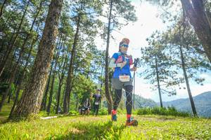 BIB: 
                            <button type="button" onclick="openModal(19287143)" class="btn btn-primary btn-sm float-right btn-popup" data-toggle="modal" data-target=".modal-high-quality">
                        <i class="fas fa-shopping-cart"></i> Add to Cart
                    </button>
                                            <button type="button" onclick="isThisMe(19287143, true)" class="btn btn-success btn-sm float-right btn-popup btn-isme hidden" data-toggle="tooltip" data-placement="bottom" title="นี่คือรูปของคุณใช่ไหม คลิกที่นี่เพื่อเอาเข้าอัลบั้ม">
                        <i class="fas fa-plus"></i> Add to album
                    </button>
                    <button type="button" onclick="isThisMe(19287143, false)" class="btn btn-warning btn-sm float-right btn-popup btn-isnotme hidden">
                        <i class="fas fa-ban"></i> Remove from album
                    </button>