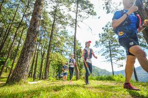 BIB: 
                            <button type="button" onclick="openModal(19289758)" class="btn btn-primary btn-sm float-right btn-popup" data-toggle="modal" data-target=".modal-high-quality">
                        <i class="fas fa-shopping-cart"></i> Add to Cart
                    </button>
                                            <button type="button" onclick="isThisMe(19289758, true)" class="btn btn-success btn-sm float-right btn-popup btn-isme hidden" data-toggle="tooltip" data-placement="bottom" title="นี่คือรูปของคุณใช่ไหม คลิกที่นี่เพื่อเอาเข้าอัลบั้ม">
                        <i class="fas fa-plus"></i> Add to album
                    </button>
                    <button type="button" onclick="isThisMe(19289758, false)" class="btn btn-warning btn-sm float-right btn-popup btn-isnotme hidden">
                        <i class="fas fa-ban"></i> Remove from album
                    </button>