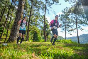 BIB: 
                            <button type="button" onclick="openModal(19291588)" class="btn btn-primary btn-sm float-right btn-popup" data-toggle="modal" data-target=".modal-high-quality">
                        <i class="fas fa-shopping-cart"></i> Add to Cart
                    </button>
                                            <button type="button" onclick="isThisMe(19291588, true)" class="btn btn-success btn-sm float-right btn-popup btn-isme hidden" data-toggle="tooltip" data-placement="bottom" title="นี่คือรูปของคุณใช่ไหม คลิกที่นี่เพื่อเอาเข้าอัลบั้ม">
                        <i class="fas fa-plus"></i> Add to album
                    </button>
                    <button type="button" onclick="isThisMe(19291588, false)" class="btn btn-warning btn-sm float-right btn-popup btn-isnotme hidden">
                        <i class="fas fa-ban"></i> Remove from album
                    </button>