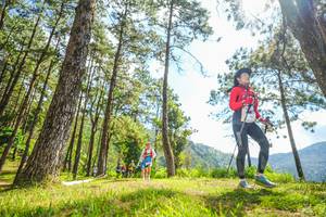 BIB: 
                            <button type="button" onclick="openModal(19289115)" class="btn btn-primary btn-sm float-right btn-popup" data-toggle="modal" data-target=".modal-high-quality">
                        <i class="fas fa-shopping-cart"></i> Add to Cart
                    </button>
                                            <button type="button" onclick="isThisMe(19289115, true)" class="btn btn-success btn-sm float-right btn-popup btn-isme hidden" data-toggle="tooltip" data-placement="bottom" title="นี่คือรูปของคุณใช่ไหม คลิกที่นี่เพื่อเอาเข้าอัลบั้ม">
                        <i class="fas fa-plus"></i> Add to album
                    </button>
                    <button type="button" onclick="isThisMe(19289115, false)" class="btn btn-warning btn-sm float-right btn-popup btn-isnotme hidden">
                        <i class="fas fa-ban"></i> Remove from album
                    </button>