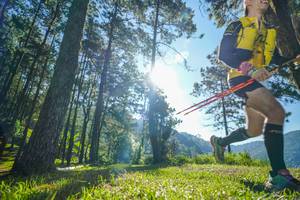 BIB: 
                            <button type="button" onclick="openModal(19279719)" class="btn btn-primary btn-sm float-right btn-popup" data-toggle="modal" data-target=".modal-high-quality">
                        <i class="fas fa-shopping-cart"></i> Add to Cart
                    </button>
                                            <button type="button" onclick="isThisMe(19279719, true)" class="btn btn-success btn-sm float-right btn-popup btn-isme hidden" data-toggle="tooltip" data-placement="bottom" title="นี่คือรูปของคุณใช่ไหม คลิกที่นี่เพื่อเอาเข้าอัลบั้ม">
                        <i class="fas fa-plus"></i> Add to album
                    </button>
                    <button type="button" onclick="isThisMe(19279719, false)" class="btn btn-warning btn-sm float-right btn-popup btn-isnotme hidden">
                        <i class="fas fa-ban"></i> Remove from album
                    </button>