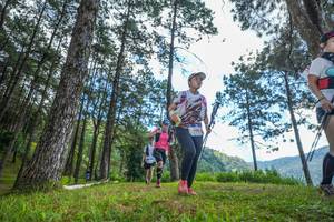 BIB: 
                            <button type="button" onclick="openModal(19286108)" class="btn btn-primary btn-sm float-right btn-popup" data-toggle="modal" data-target=".modal-high-quality">
                        <i class="fas fa-shopping-cart"></i> Add to Cart
                    </button>
                                            <button type="button" onclick="isThisMe(19286108, true)" class="btn btn-success btn-sm float-right btn-popup btn-isme hidden" data-toggle="tooltip" data-placement="bottom" title="นี่คือรูปของคุณใช่ไหม คลิกที่นี่เพื่อเอาเข้าอัลบั้ม">
                        <i class="fas fa-plus"></i> Add to album
                    </button>
                    <button type="button" onclick="isThisMe(19286108, false)" class="btn btn-warning btn-sm float-right btn-popup btn-isnotme hidden">
                        <i class="fas fa-ban"></i> Remove from album
                    </button>