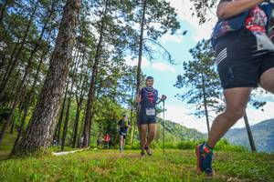 BIB: 
                            <button type="button" onclick="openModal(19291007)" class="btn btn-primary btn-sm float-right btn-popup" data-toggle="modal" data-target=".modal-high-quality">
                        <i class="fas fa-shopping-cart"></i> Add to Cart
                    </button>
                                            <button type="button" onclick="isThisMe(19291007, true)" class="btn btn-success btn-sm float-right btn-popup btn-isme hidden" data-toggle="tooltip" data-placement="bottom" title="นี่คือรูปของคุณใช่ไหม คลิกที่นี่เพื่อเอาเข้าอัลบั้ม">
                        <i class="fas fa-plus"></i> Add to album
                    </button>
                    <button type="button" onclick="isThisMe(19291007, false)" class="btn btn-warning btn-sm float-right btn-popup btn-isnotme hidden">
                        <i class="fas fa-ban"></i> Remove from album
                    </button>