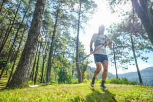 BIB: 
                            <button type="button" onclick="openModal(19283907)" class="btn btn-primary btn-sm float-right btn-popup" data-toggle="modal" data-target=".modal-high-quality">
                        <i class="fas fa-shopping-cart"></i> Add to Cart
                    </button>
                                            <button type="button" onclick="isThisMe(19283907, true)" class="btn btn-success btn-sm float-right btn-popup btn-isme hidden" data-toggle="tooltip" data-placement="bottom" title="นี่คือรูปของคุณใช่ไหม คลิกที่นี่เพื่อเอาเข้าอัลบั้ม">
                        <i class="fas fa-plus"></i> Add to album
                    </button>
                    <button type="button" onclick="isThisMe(19283907, false)" class="btn btn-warning btn-sm float-right btn-popup btn-isnotme hidden">
                        <i class="fas fa-ban"></i> Remove from album
                    </button>