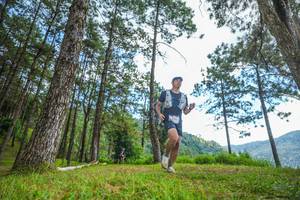 BIB: 
                            <button type="button" onclick="openModal(19287410)" class="btn btn-primary btn-sm float-right btn-popup" data-toggle="modal" data-target=".modal-high-quality">
                        <i class="fas fa-shopping-cart"></i> Add to Cart
                    </button>
                                            <button type="button" onclick="isThisMe(19287410, true)" class="btn btn-success btn-sm float-right btn-popup btn-isme hidden" data-toggle="tooltip" data-placement="bottom" title="นี่คือรูปของคุณใช่ไหม คลิกที่นี่เพื่อเอาเข้าอัลบั้ม">
                        <i class="fas fa-plus"></i> Add to album
                    </button>
                    <button type="button" onclick="isThisMe(19287410, false)" class="btn btn-warning btn-sm float-right btn-popup btn-isnotme hidden">
                        <i class="fas fa-ban"></i> Remove from album
                    </button>