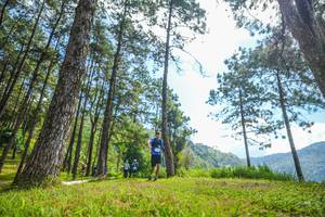 BIB: 
                            <button type="button" onclick="openModal(19285421)" class="btn btn-primary btn-sm float-right btn-popup" data-toggle="modal" data-target=".modal-high-quality">
                        <i class="fas fa-shopping-cart"></i> Add to Cart
                    </button>
                                            <button type="button" onclick="isThisMe(19285421, true)" class="btn btn-success btn-sm float-right btn-popup btn-isme hidden" data-toggle="tooltip" data-placement="bottom" title="นี่คือรูปของคุณใช่ไหม คลิกที่นี่เพื่อเอาเข้าอัลบั้ม">
                        <i class="fas fa-plus"></i> Add to album
                    </button>
                    <button type="button" onclick="isThisMe(19285421, false)" class="btn btn-warning btn-sm float-right btn-popup btn-isnotme hidden">
                        <i class="fas fa-ban"></i> Remove from album
                    </button>