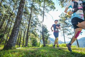 BIB: 
                            <button type="button" onclick="openModal(19279334)" class="btn btn-primary btn-sm float-right btn-popup" data-toggle="modal" data-target=".modal-high-quality">
                        <i class="fas fa-shopping-cart"></i> Add to Cart
                    </button>
                                            <button type="button" onclick="isThisMe(19279334, true)" class="btn btn-success btn-sm float-right btn-popup btn-isme hidden" data-toggle="tooltip" data-placement="bottom" title="นี่คือรูปของคุณใช่ไหม คลิกที่นี่เพื่อเอาเข้าอัลบั้ม">
                        <i class="fas fa-plus"></i> Add to album
                    </button>
                    <button type="button" onclick="isThisMe(19279334, false)" class="btn btn-warning btn-sm float-right btn-popup btn-isnotme hidden">
                        <i class="fas fa-ban"></i> Remove from album
                    </button>