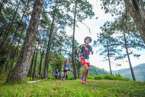 BIB: 
                            <button type="button" onclick="openModal(19288026)" class="btn btn-primary btn-sm float-right btn-popup" data-toggle="modal" data-target=".modal-high-quality">
                        <i class="fas fa-shopping-cart"></i> Add to Cart
                    </button>
                                            <button type="button" onclick="isThisMe(19288026, true)" class="btn btn-success btn-sm float-right btn-popup btn-isme hidden" data-toggle="tooltip" data-placement="bottom" title="นี่คือรูปของคุณใช่ไหม คลิกที่นี่เพื่อเอาเข้าอัลบั้ม">
                        <i class="fas fa-plus"></i> Add to album
                    </button>
                    <button type="button" onclick="isThisMe(19288026, false)" class="btn btn-warning btn-sm float-right btn-popup btn-isnotme hidden">
                        <i class="fas fa-ban"></i> Remove from album
                    </button>