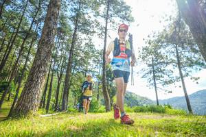 BIB: 
                            <button type="button" onclick="openModal(19288724)" class="btn btn-primary btn-sm float-right btn-popup" data-toggle="modal" data-target=".modal-high-quality">
                        <i class="fas fa-shopping-cart"></i> Add to Cart
                    </button>
                                            <button type="button" onclick="isThisMe(19288724, true)" class="btn btn-success btn-sm float-right btn-popup btn-isme hidden" data-toggle="tooltip" data-placement="bottom" title="นี่คือรูปของคุณใช่ไหม คลิกที่นี่เพื่อเอาเข้าอัลบั้ม">
                        <i class="fas fa-plus"></i> Add to album
                    </button>
                    <button type="button" onclick="isThisMe(19288724, false)" class="btn btn-warning btn-sm float-right btn-popup btn-isnotme hidden">
                        <i class="fas fa-ban"></i> Remove from album
                    </button>