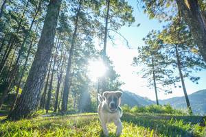 BIB: 
                            <button type="button" onclick="openModal(19278752)" class="btn btn-primary btn-sm float-right btn-popup" data-toggle="modal" data-target=".modal-high-quality">
                        <i class="fas fa-shopping-cart"></i> Add to Cart
                    </button>
                                            <button type="button" onclick="isThisMe(19278752, true)" class="btn btn-success btn-sm float-right btn-popup btn-isme hidden" data-toggle="tooltip" data-placement="bottom" title="นี่คือรูปของคุณใช่ไหม คลิกที่นี่เพื่อเอาเข้าอัลบั้ม">
                        <i class="fas fa-plus"></i> Add to album
                    </button>
                    <button type="button" onclick="isThisMe(19278752, false)" class="btn btn-warning btn-sm float-right btn-popup btn-isnotme hidden">
                        <i class="fas fa-ban"></i> Remove from album
                    </button>