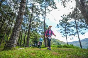 BIB: 
                            <button type="button" onclick="openModal(19290108)" class="btn btn-primary btn-sm float-right btn-popup" data-toggle="modal" data-target=".modal-high-quality">
                        <i class="fas fa-shopping-cart"></i> Add to Cart
                    </button>
                                            <button type="button" onclick="isThisMe(19290108, true)" class="btn btn-success btn-sm float-right btn-popup btn-isme hidden" data-toggle="tooltip" data-placement="bottom" title="นี่คือรูปของคุณใช่ไหม คลิกที่นี่เพื่อเอาเข้าอัลบั้ม">
                        <i class="fas fa-plus"></i> Add to album
                    </button>
                    <button type="button" onclick="isThisMe(19290108, false)" class="btn btn-warning btn-sm float-right btn-popup btn-isnotme hidden">
                        <i class="fas fa-ban"></i> Remove from album
                    </button>