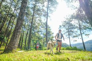 BIB: 
                            <button type="button" onclick="openModal(19285128)" class="btn btn-primary btn-sm float-right btn-popup" data-toggle="modal" data-target=".modal-high-quality">
                        <i class="fas fa-shopping-cart"></i> Add to Cart
                    </button>
                                            <button type="button" onclick="isThisMe(19285128, true)" class="btn btn-success btn-sm float-right btn-popup btn-isme hidden" data-toggle="tooltip" data-placement="bottom" title="นี่คือรูปของคุณใช่ไหม คลิกที่นี่เพื่อเอาเข้าอัลบั้ม">
                        <i class="fas fa-plus"></i> Add to album
                    </button>
                    <button type="button" onclick="isThisMe(19285128, false)" class="btn btn-warning btn-sm float-right btn-popup btn-isnotme hidden">
                        <i class="fas fa-ban"></i> Remove from album
                    </button>