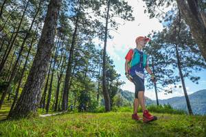 BIB: 
                            <button type="button" onclick="openModal(19282049)" class="btn btn-primary btn-sm float-right btn-popup" data-toggle="modal" data-target=".modal-high-quality">
                        <i class="fas fa-shopping-cart"></i> Add to Cart
                    </button>
                                            <button type="button" onclick="isThisMe(19282049, true)" class="btn btn-success btn-sm float-right btn-popup btn-isme hidden" data-toggle="tooltip" data-placement="bottom" title="นี่คือรูปของคุณใช่ไหม คลิกที่นี่เพื่อเอาเข้าอัลบั้ม">
                        <i class="fas fa-plus"></i> Add to album
                    </button>
                    <button type="button" onclick="isThisMe(19282049, false)" class="btn btn-warning btn-sm float-right btn-popup btn-isnotme hidden">
                        <i class="fas fa-ban"></i> Remove from album
                    </button>