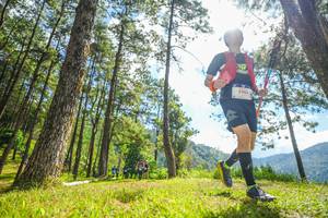 BIB: 347, 5965
                            <button type="button" onclick="openModal(19287092)" class="btn btn-primary btn-sm float-right btn-popup" data-toggle="modal" data-target=".modal-high-quality">
                        <i class="fas fa-shopping-cart"></i> Add to Cart
                    </button>
                                            <button type="button" onclick="isThisMe(19287092, true)" class="btn btn-success btn-sm float-right btn-popup btn-isme hidden" data-toggle="tooltip" data-placement="bottom" title="นี่คือรูปของคุณใช่ไหม คลิกที่นี่เพื่อเอาเข้าอัลบั้ม">
                        <i class="fas fa-plus"></i> Add to album
                    </button>
                    <button type="button" onclick="isThisMe(19287092, false)" class="btn btn-warning btn-sm float-right btn-popup btn-isnotme hidden">
                        <i class="fas fa-ban"></i> Remove from album
                    </button>