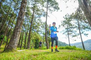 BIB: 
                            <button type="button" onclick="openModal(19288198)" class="btn btn-primary btn-sm float-right btn-popup" data-toggle="modal" data-target=".modal-high-quality">
                        <i class="fas fa-shopping-cart"></i> Add to Cart
                    </button>
                                            <button type="button" onclick="isThisMe(19288198, true)" class="btn btn-success btn-sm float-right btn-popup btn-isme hidden" data-toggle="tooltip" data-placement="bottom" title="นี่คือรูปของคุณใช่ไหม คลิกที่นี่เพื่อเอาเข้าอัลบั้ม">
                        <i class="fas fa-plus"></i> Add to album
                    </button>
                    <button type="button" onclick="isThisMe(19288198, false)" class="btn btn-warning btn-sm float-right btn-popup btn-isnotme hidden">
                        <i class="fas fa-ban"></i> Remove from album
                    </button>