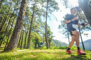 BIB: 
                            <button type="button" onclick="openModal(19290541)" class="btn btn-primary btn-sm float-right btn-popup" data-toggle="modal" data-target=".modal-high-quality">
                        <i class="fas fa-shopping-cart"></i> Add to Cart
                    </button>
                                            <button type="button" onclick="isThisMe(19290541, true)" class="btn btn-success btn-sm float-right btn-popup btn-isme hidden" data-toggle="tooltip" data-placement="bottom" title="นี่คือรูปของคุณใช่ไหม คลิกที่นี่เพื่อเอาเข้าอัลบั้ม">
                        <i class="fas fa-plus"></i> Add to album
                    </button>
                    <button type="button" onclick="isThisMe(19290541, false)" class="btn btn-warning btn-sm float-right btn-popup btn-isnotme hidden">
                        <i class="fas fa-ban"></i> Remove from album
                    </button>