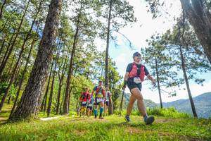 BIB: 
                            <button type="button" onclick="openModal(19290046)" class="btn btn-primary btn-sm float-right btn-popup" data-toggle="modal" data-target=".modal-high-quality">
                        <i class="fas fa-shopping-cart"></i> Add to Cart
                    </button>
                                            <button type="button" onclick="isThisMe(19290046, true)" class="btn btn-success btn-sm float-right btn-popup btn-isme hidden" data-toggle="tooltip" data-placement="bottom" title="นี่คือรูปของคุณใช่ไหม คลิกที่นี่เพื่อเอาเข้าอัลบั้ม">
                        <i class="fas fa-plus"></i> Add to album
                    </button>
                    <button type="button" onclick="isThisMe(19290046, false)" class="btn btn-warning btn-sm float-right btn-popup btn-isnotme hidden">
                        <i class="fas fa-ban"></i> Remove from album
                    </button>